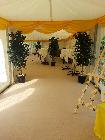 marquee hire sussex surrey kent hampshire